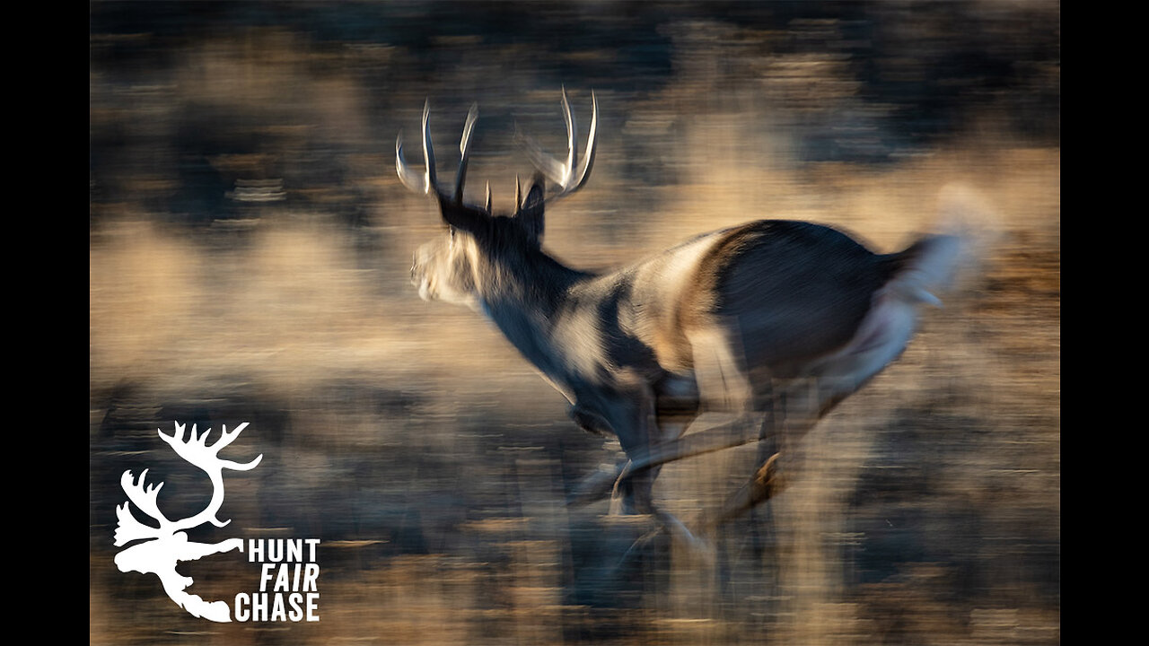 The smart Trick of The Ethics of Hunting: A Guide to Responsible Hunting in America That Nobody...