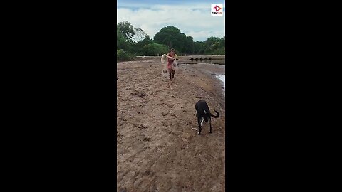 woman fishing