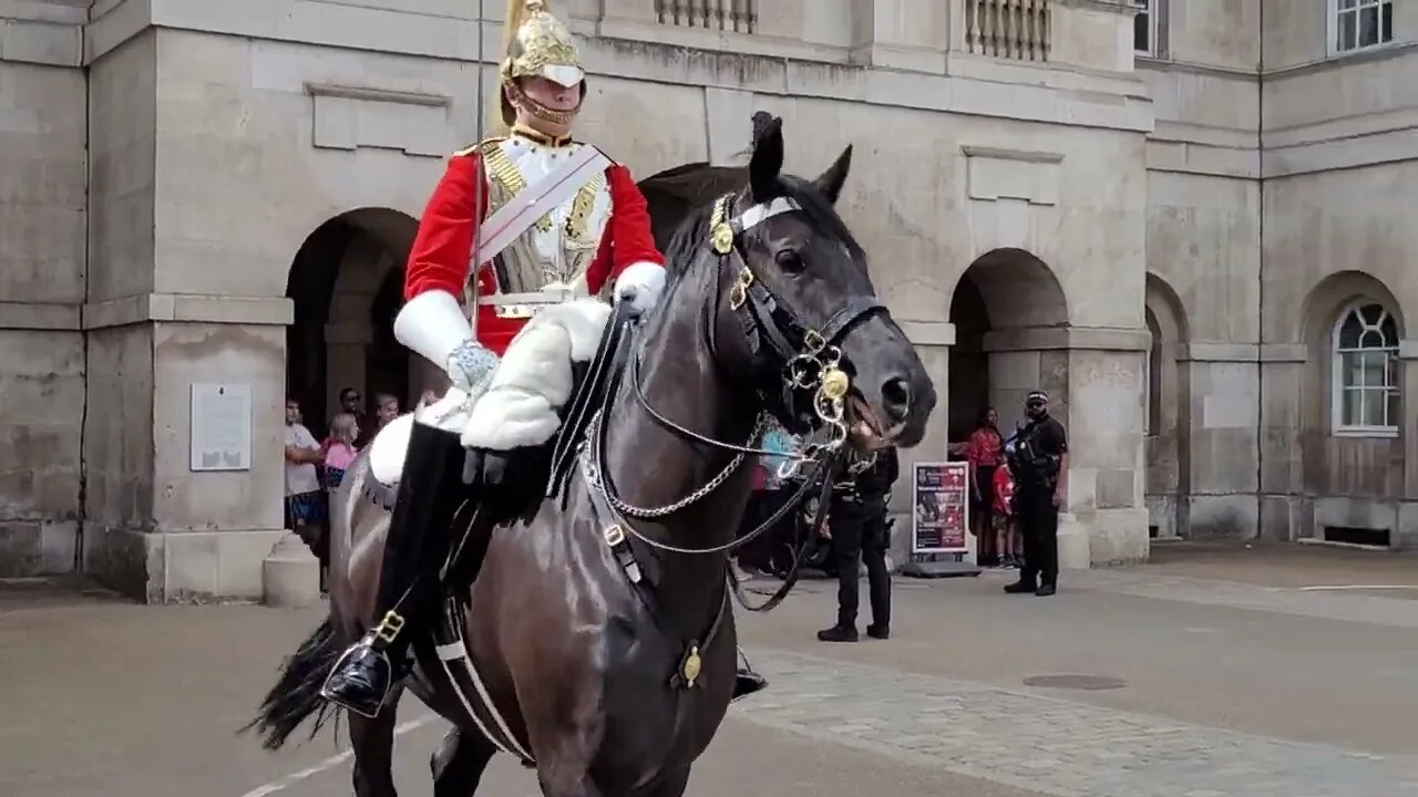 The house hold cavalry The Reds changing of the Guards #horseguardsparade