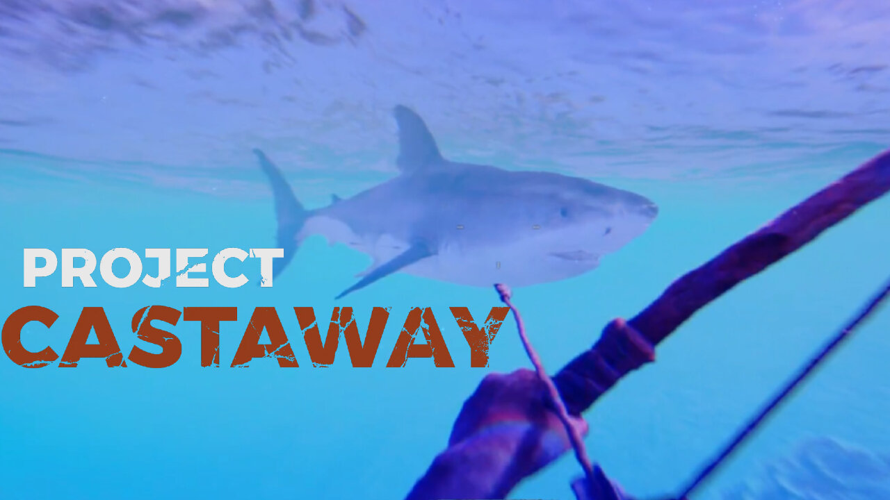 Taking A Dive! ~ Project Castaway! #projectcastaway