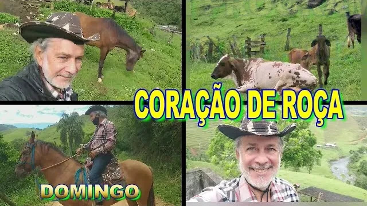 DOMINGO CORAÇÃO DE ROÇA UM PROGRAMA PRA FAMIA