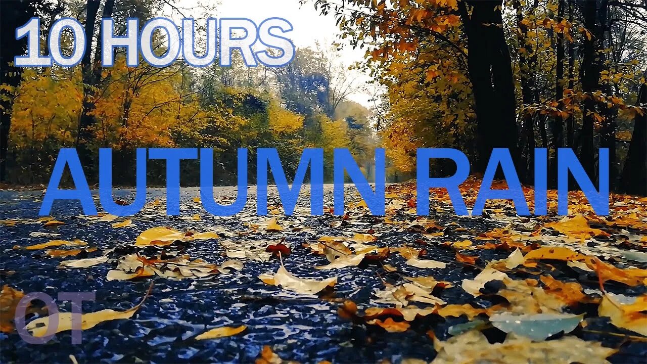 steady autumn RAIN | Relax/ Sleep/ Study/ 10 Hours of nature sounds for relaxation | meditation