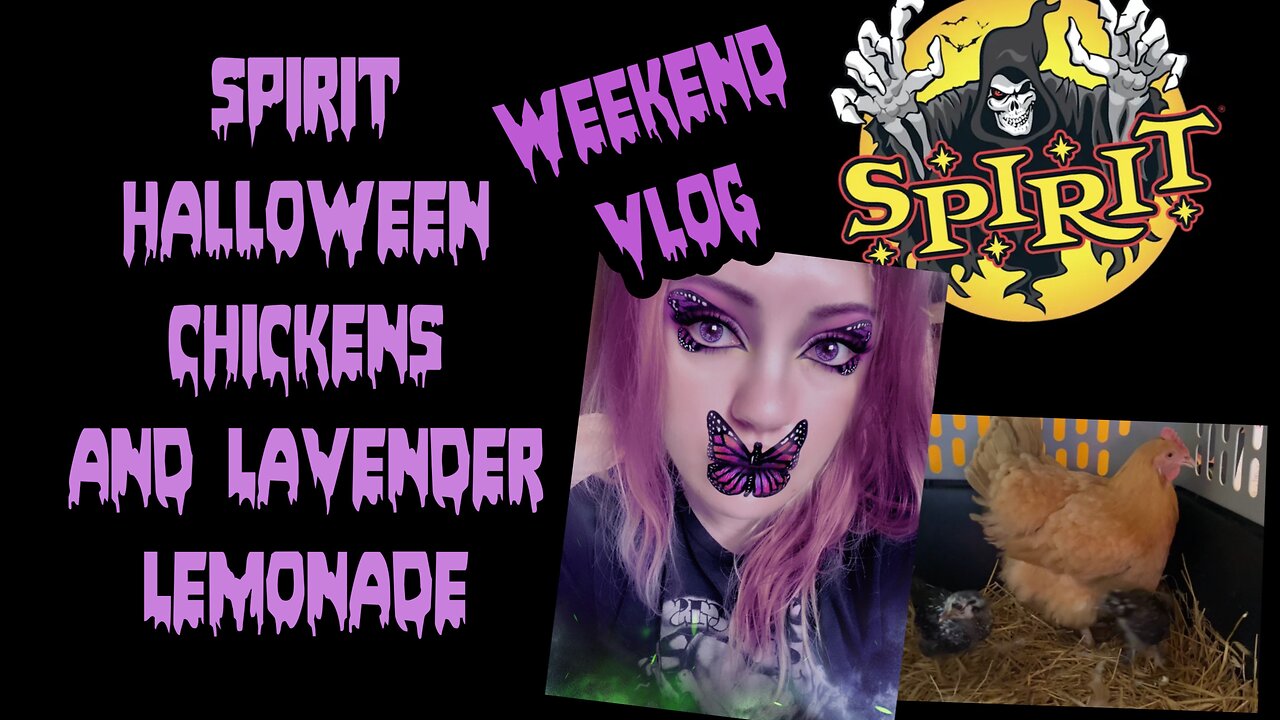 Spirit Halloween Chickens and Lavender Lemonade Weekend Vlog