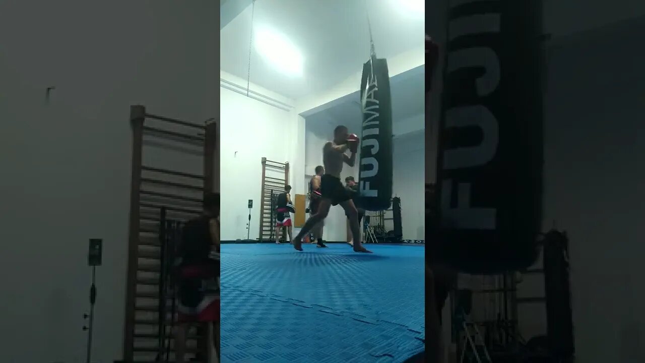 Kick, Punch, Elbow And Knee The Bag (7)