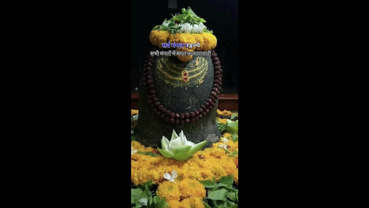 Om Namah Shivay