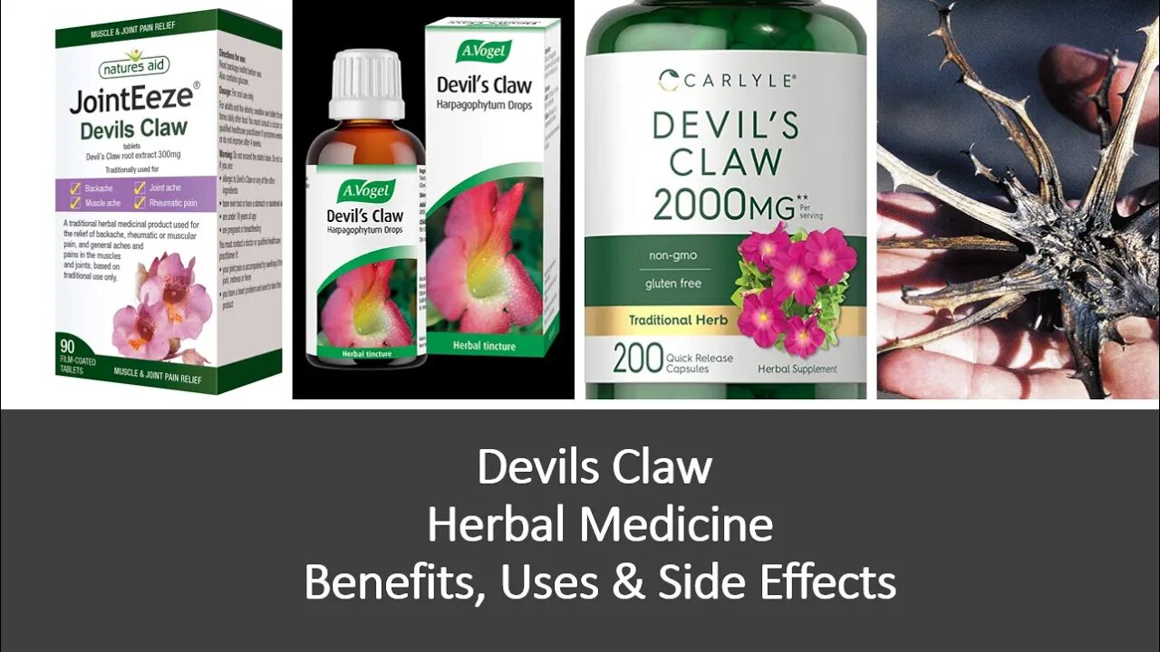 Devils Claw - Herbal Medicine - Benefits, Uses & Side Effects