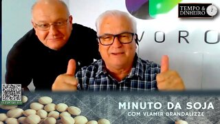 Soja avança em Chicago e patina no Brasil