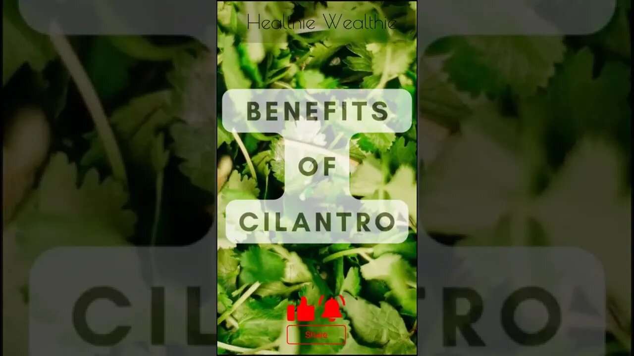 Is Cilantro really that good for you? || Healthie Wealthie