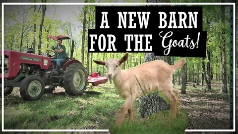 Beginning Our Goat Barn//House Extension Update//Working Bees//Farm Life