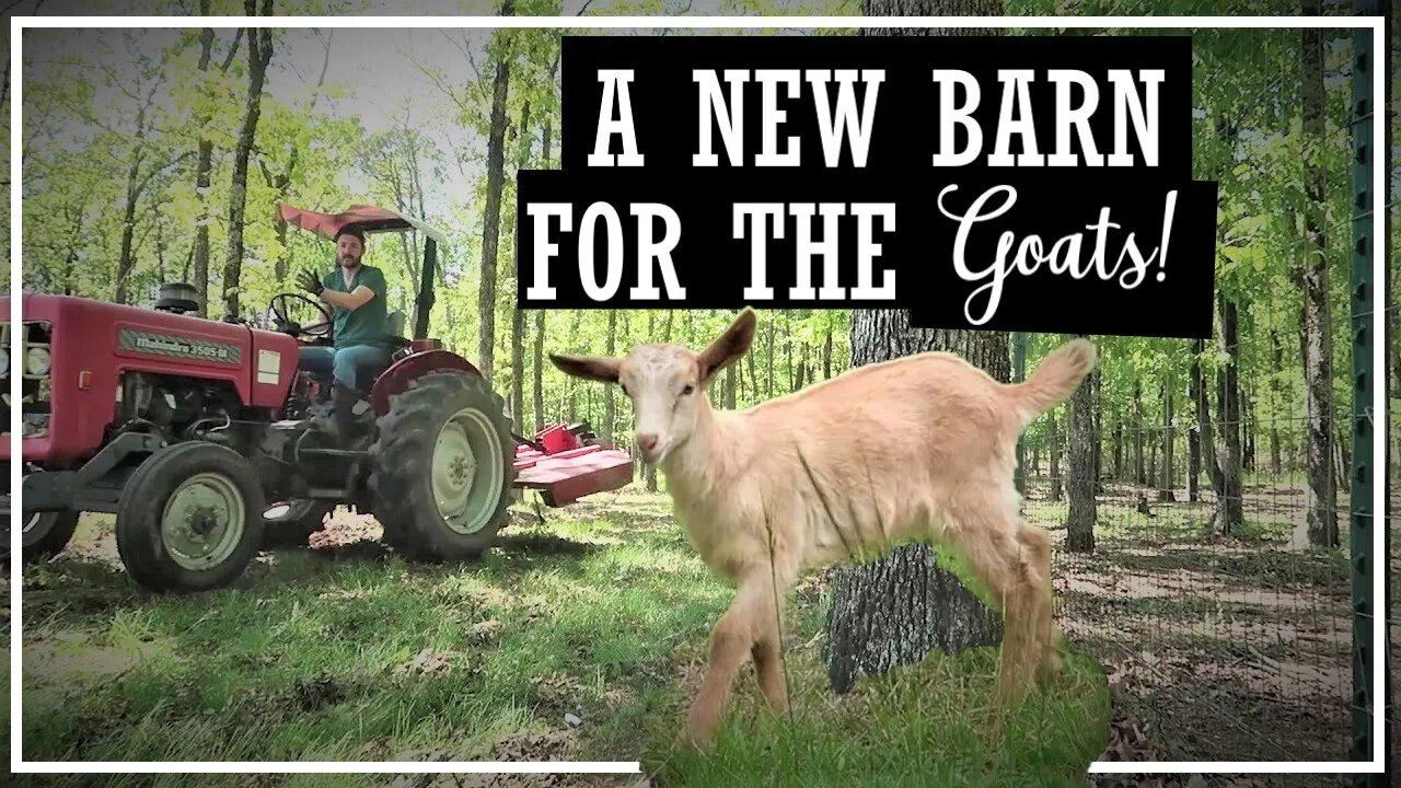 Beginning Our Goat Barn//House Extension Update//Working Bees//Farm Life
