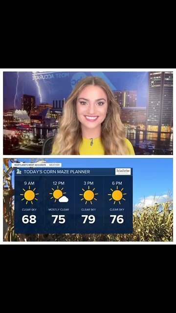 Stevie's Scoop: Sunny & Comfy