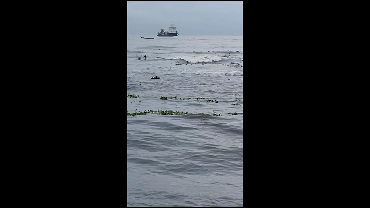 In a Sea Beach Nature