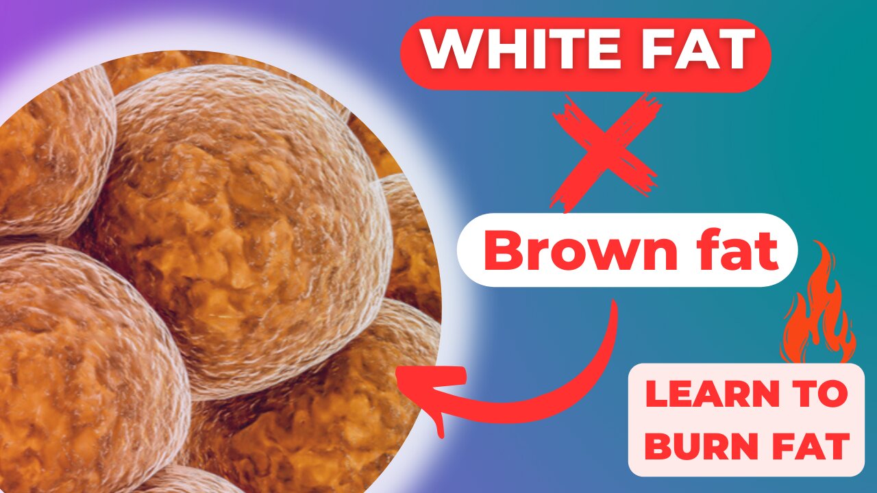 WHITE FAT X BROWN FAT ( LEARN TO BURN FAT)