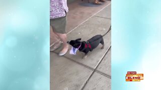 PICK OF THE LITTER: Margo!