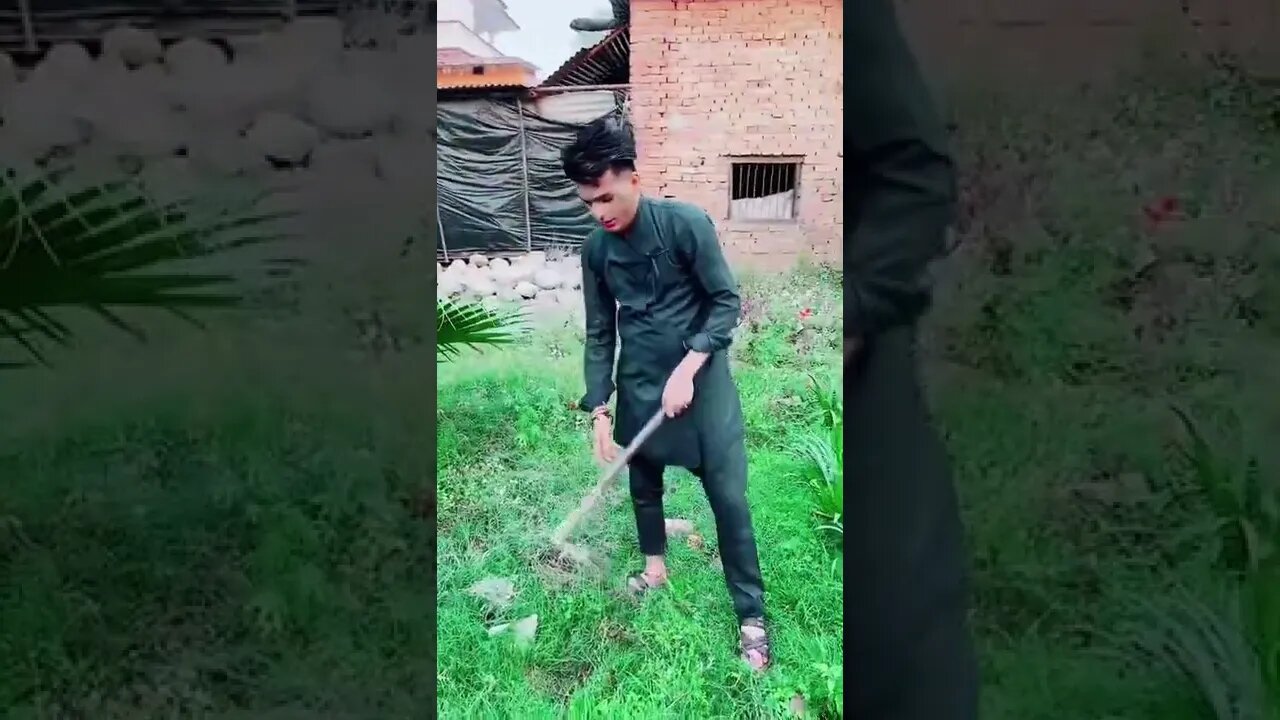 करोडौं कमाई गरेका टिकटक स्टार ले खेत मा काम गरिरहेका छन्🤣🤣#shortvideo #shorts