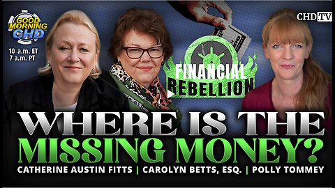 CATHERINE AUSTIN FITTS -Where is the Missing Money?