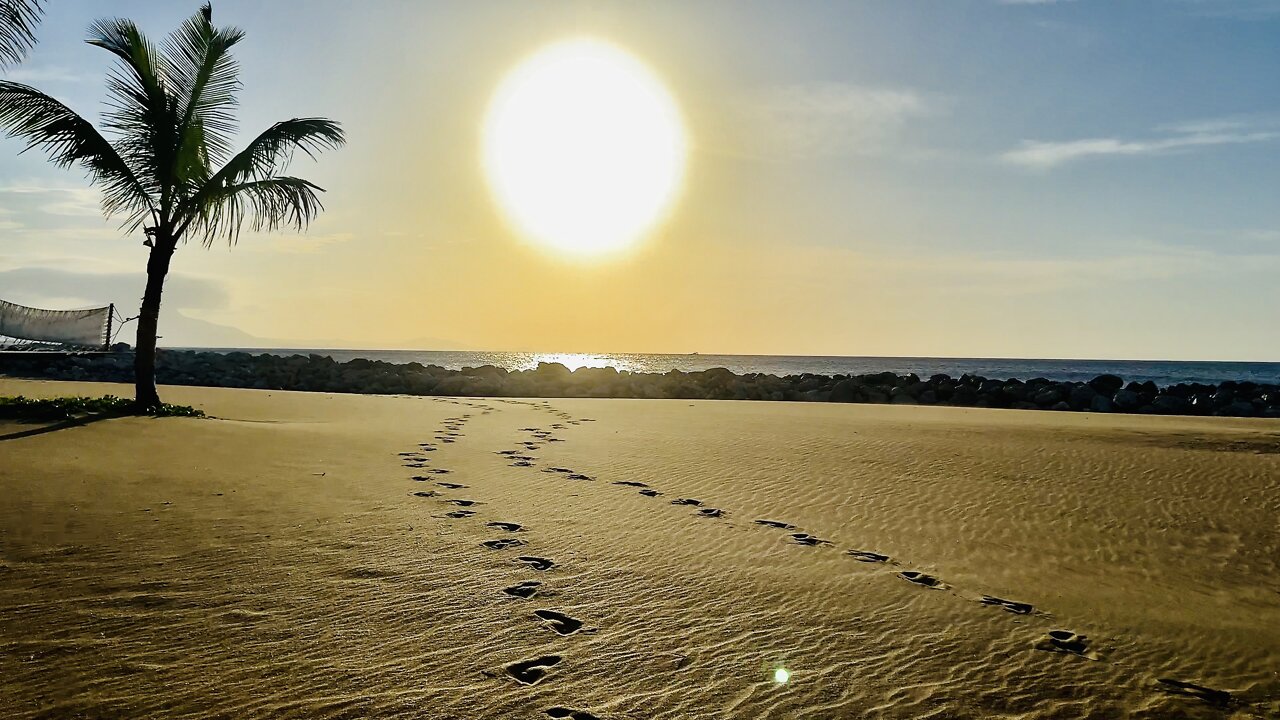 Sosua ~ Dominican Republic ~ Tour of Beaches & Monkey Jungle