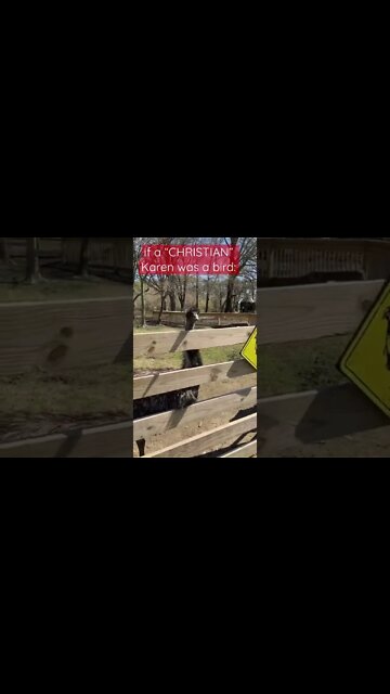 preaching Jesus Christ to a KAREN EMU IRL😂😂😂