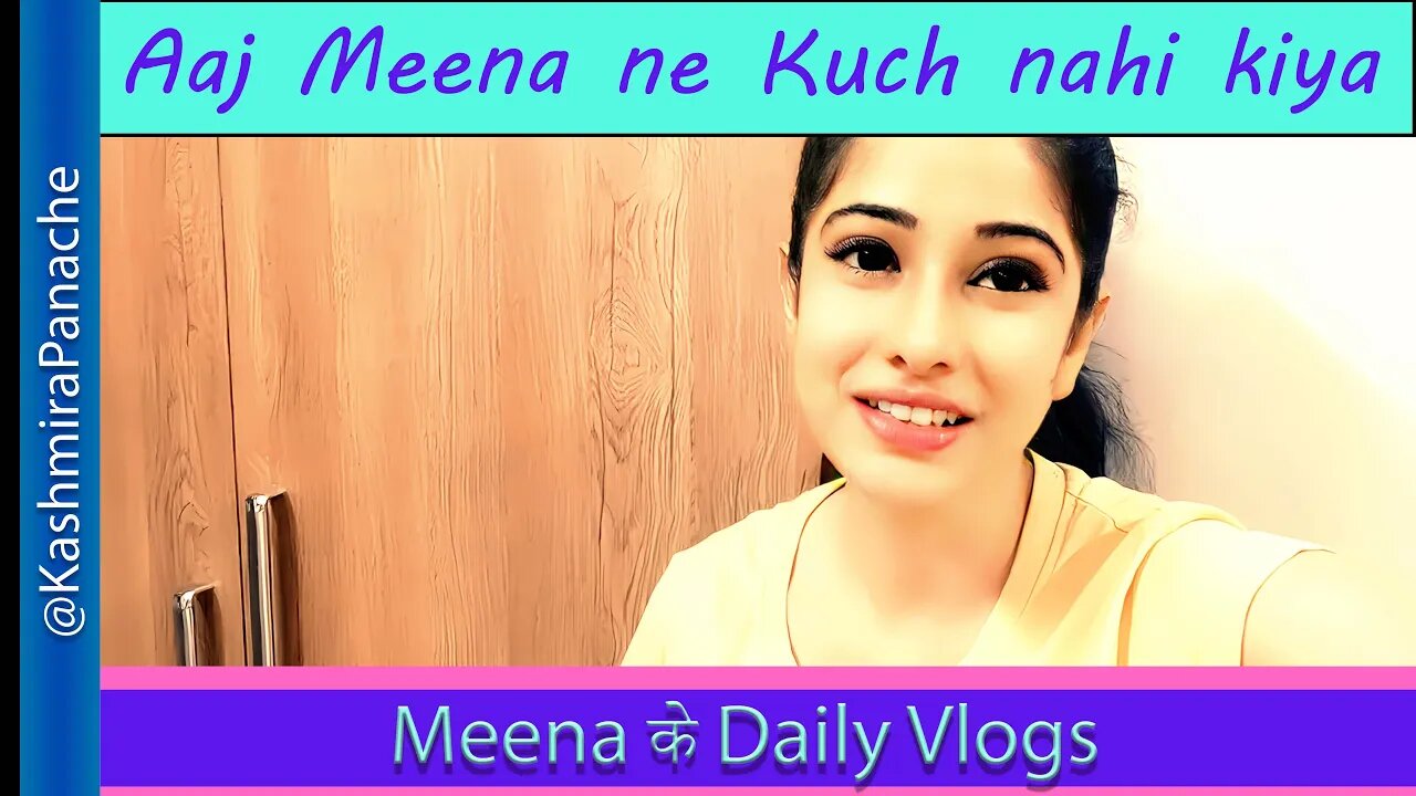 Aaj to maine kuch kiya hi nahi | My new Vlog | हिंदी भाषा | #HindiVlogs #Meena