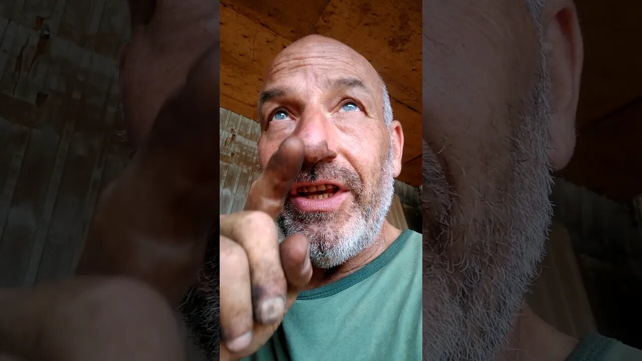 MANST FIRST 7 2WENTYFIRST WOMENST Angels RISANGELS