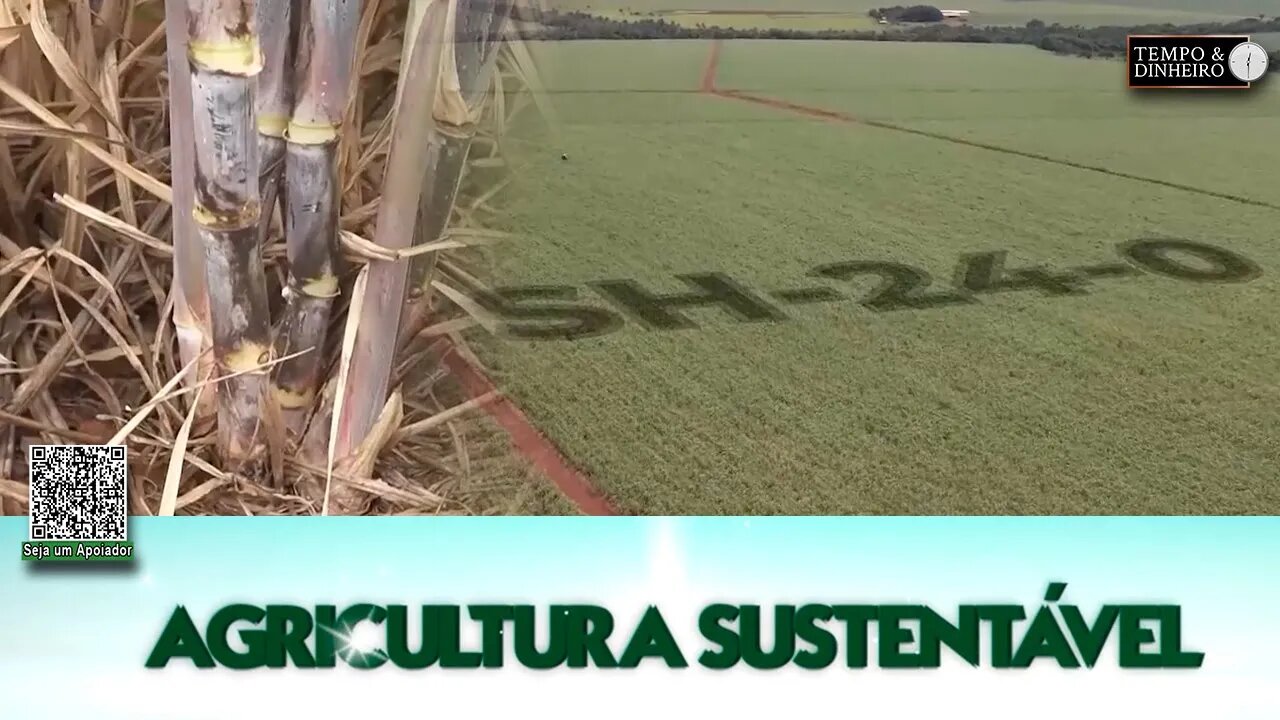 Agricultura Sustentável - com Frederico Olivi