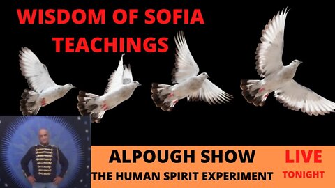 Human Spirit Experiment: Sofia's Wisdom