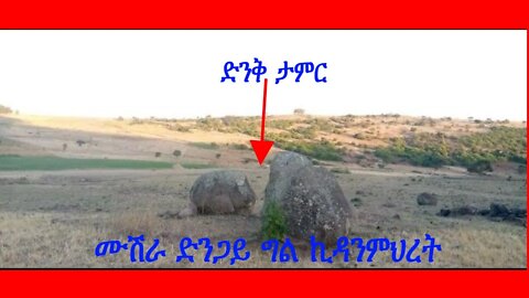 🔴በመሳሪያ ብቻ የተቀነባበሩ ምርጥ ክላሲኪል ሙዚቃዎች ስብስብ ከተመረጡ ፎቶዎች ጋር 2022