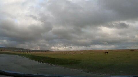 Merrivale area. Dartmoor 24th March 2023