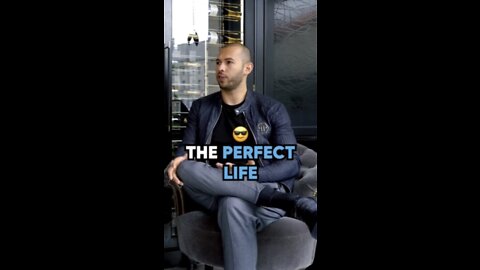 THE PERFECT LIFE