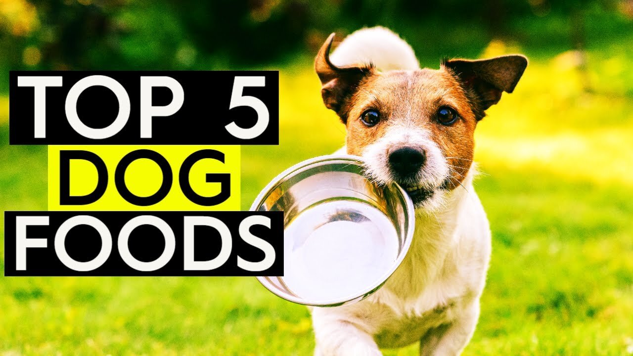 Top 5 BEST Dog Foods 2023 | Best Dogs Food, Dog Food | Amazon Home Finds, Amazon Home Decor