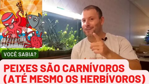 🔴 Peixes NÃO São Herbívoros - Eles Querem é PROTEÍNA!