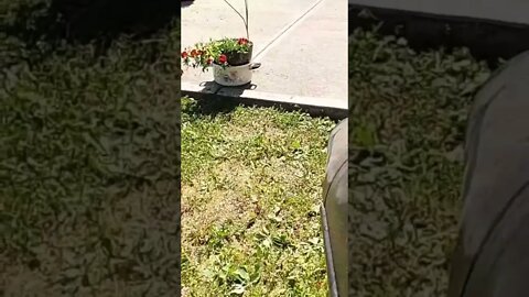 Gopro on leaf blower