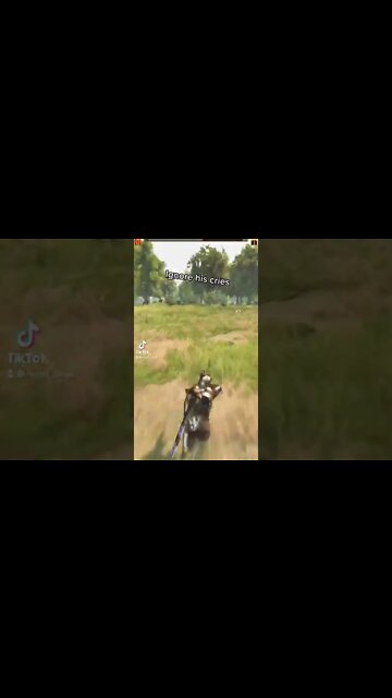 Bannerlord mods that disrespect the enemies soul