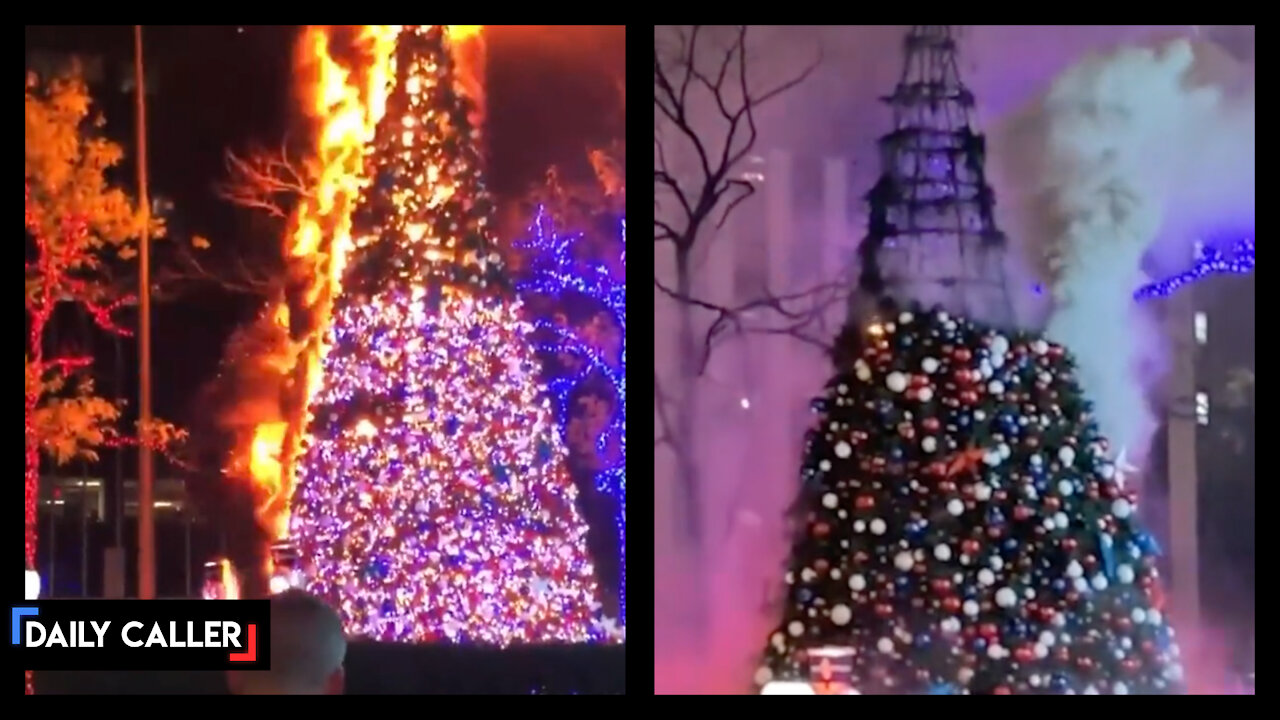 Fox News' Christmas Tree Set On Fire