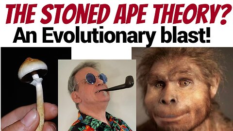 Were our ape ancestors continually stoned?