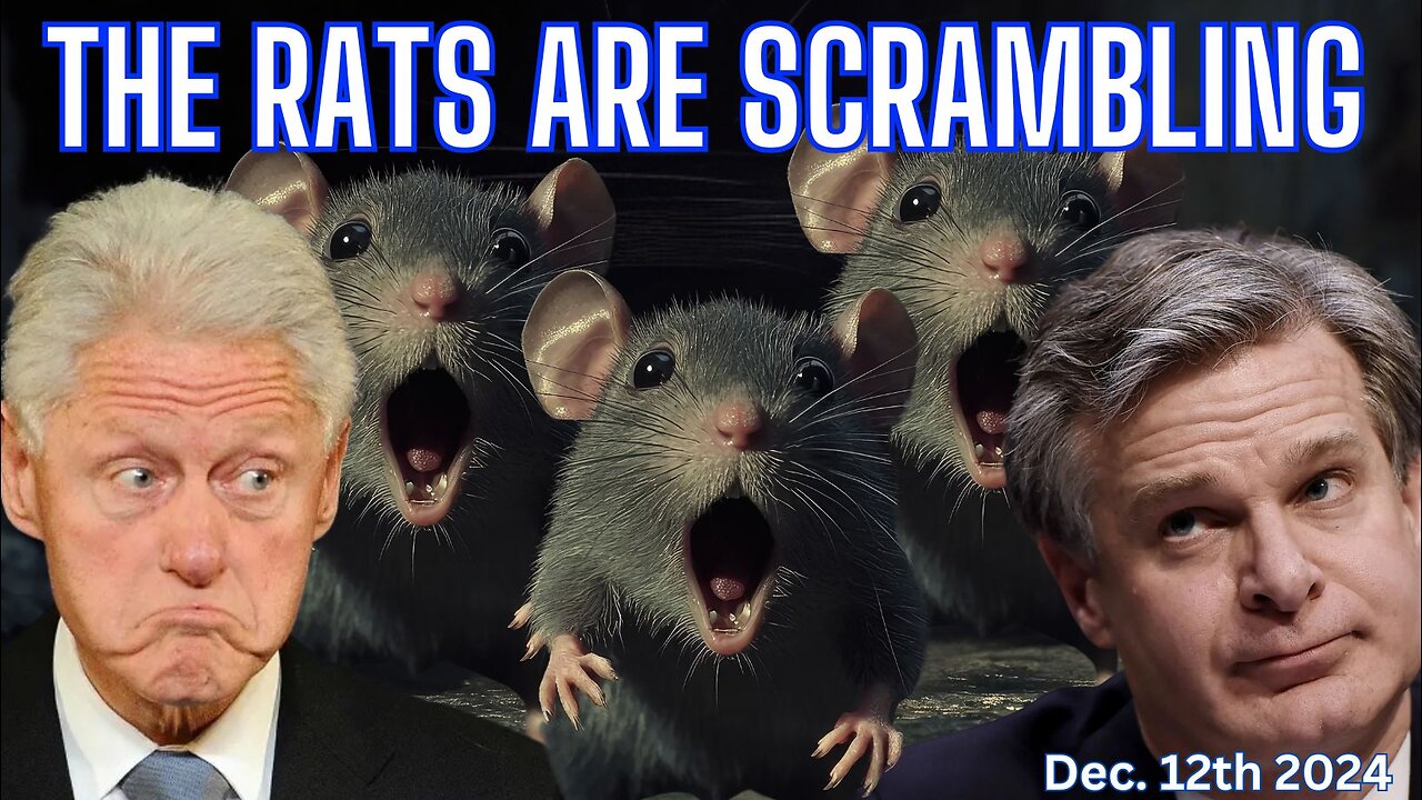 The Rats Are Scrambling