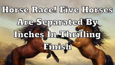 Unbelievable horse race! Five horses are separated by inches in thrilling finish!