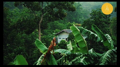 Monsoon Season | Relaxing Rain Sound | Cloudy Atmosphere | Meditation With Rain | Travel in Rain