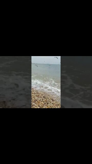 Nature beauty #shorts #subscribe #whatsappstatus #status