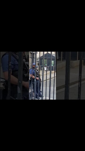 Armed police in side the gate's of downing street #metpolice