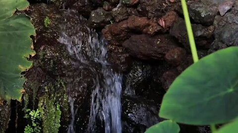 YETİŞEN NESİLLER (En Güzel Şiirler)