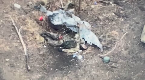 Epic Video of Russian Fascists' Destruction in Donbas