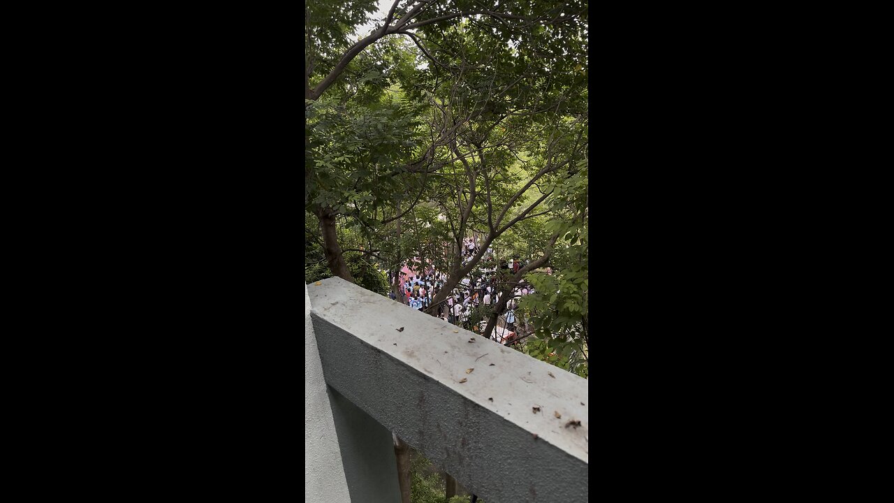 Ganpati visarjan celebration