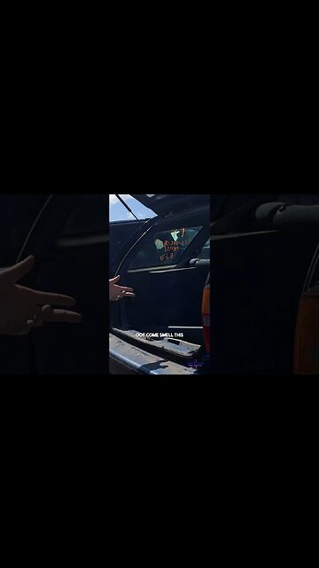 the smellest old car