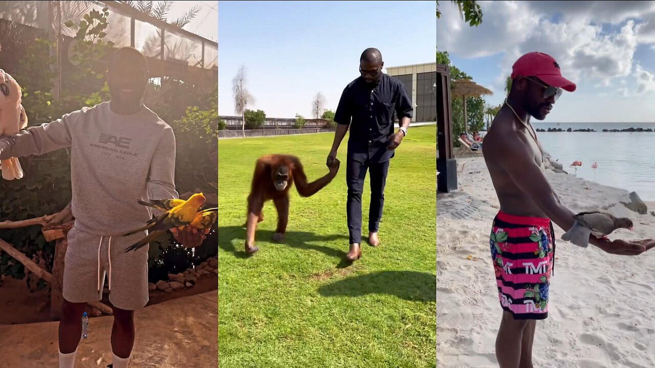 Floyd Mayweather Having A Great Time With Animals