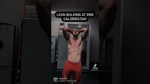 Lean Bulking at 3500 Calories/Day