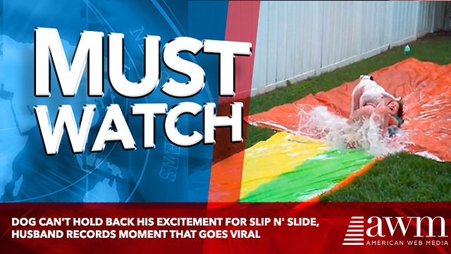 Dog Can't Hold Back His Excitement For Slip N' Slide, Husband Records Moment That Goes Viral