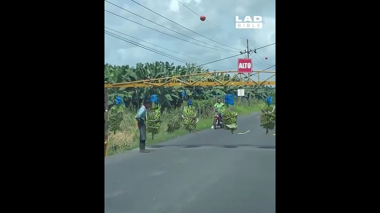 It's not a railway crossing.It's a banana crossing in Brazil.