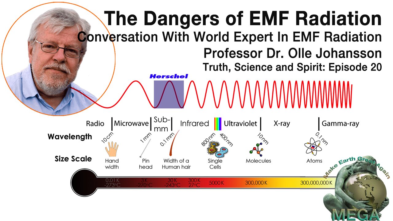 The Dangers of EMF Radiation - Conversation With World Expert In EMF Radiation Professor Dr. Olle Johansson - Truth, Science and Spirit: Episode 20