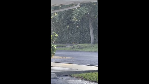 Squirrel playing with flag